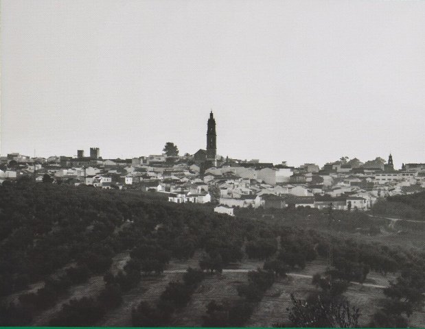Vista paisajista Bujalance (2)